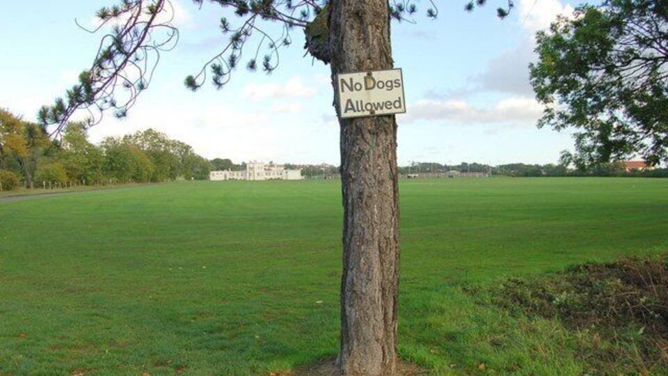 Pitreavie Playing Fields Run by the local council these playing fields are on the south side of Dunfermline,the white building, which is in the next square, is the pavilion.