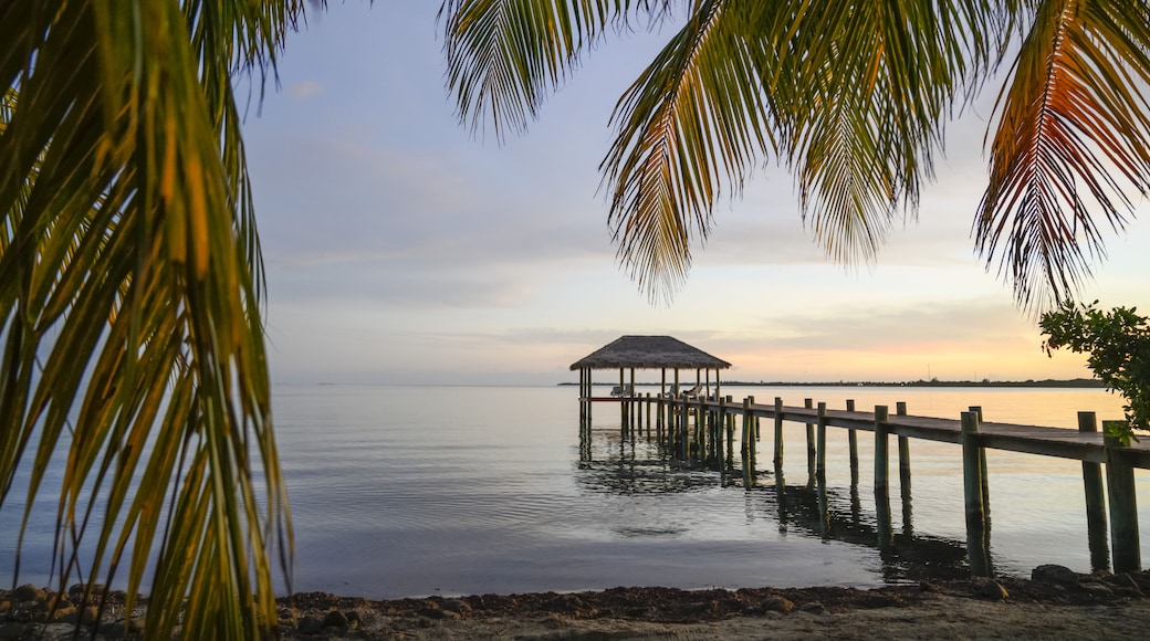 Een rustig strandbeeld met een houten pier die zich uitstrekt over kalm water, een hut met rieten dak en palmbladeren die het uitzicht omlijsten.