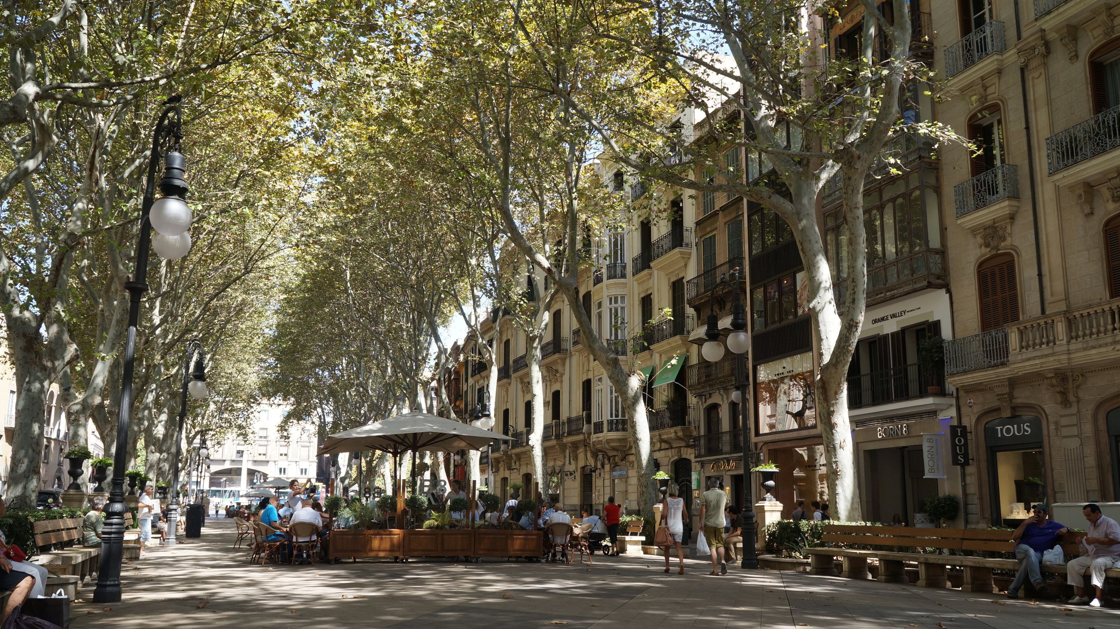 Une rue bordée d’arbres, avec des cafés en plein air, des bancs et des piétons.