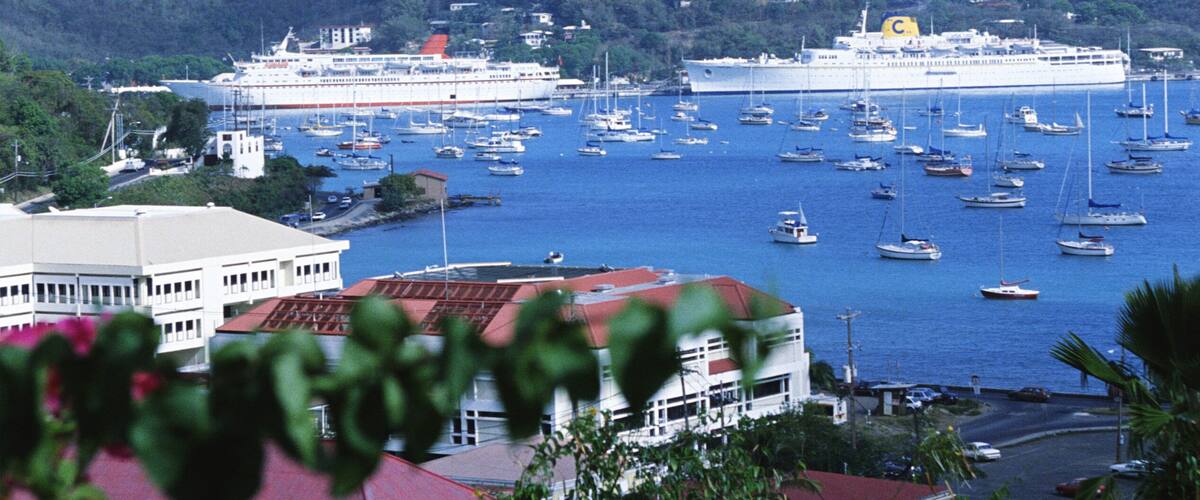 A harbor with multiple cruise ships, boats, and a coastal town with buildings and greenery.