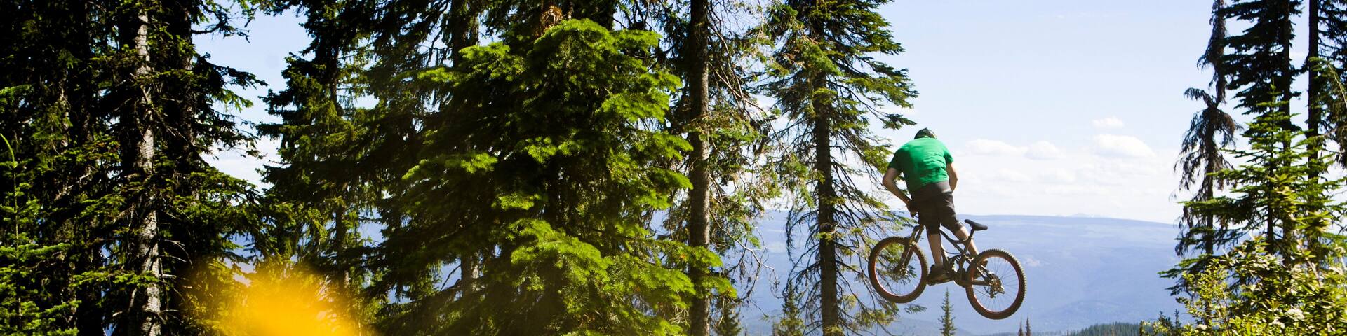 A mountain biker performing a jump over a dirt trail in a forested area with tall trees and a clear sky.