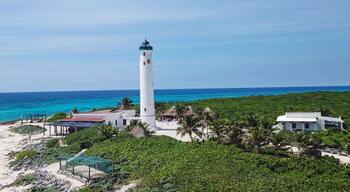 ์ฝ๋ก๋์ ์๋ฐ๋ฆฌ์๋
ธ ์ฌํํ