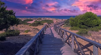 The gateway to the beach of La Barrosa, Cadiz, Spain.