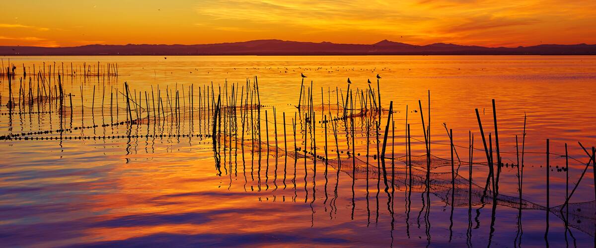 La Albufera lake sunset in El Saler of Valencia