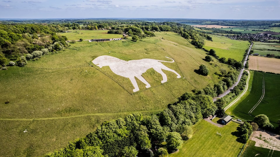 Aerial shot of the white chalk lion cut into a hill side on the North Downs near Dunstable