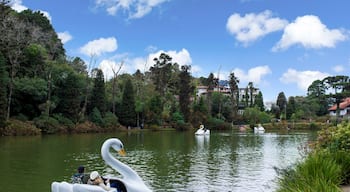Bairro Lago Negro