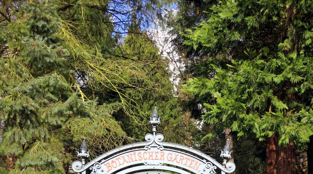 Wrought iron entrance gate to the garden (Photographed from the road side)