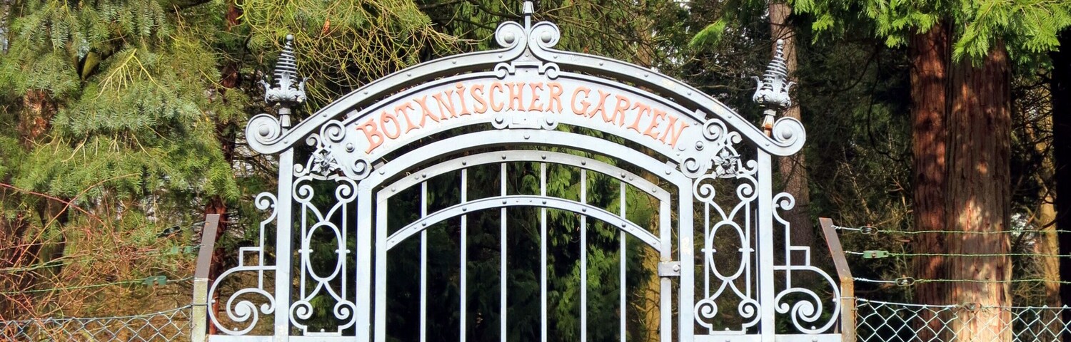 Wrought iron entrance gate to the garden (Photographed from the road side)