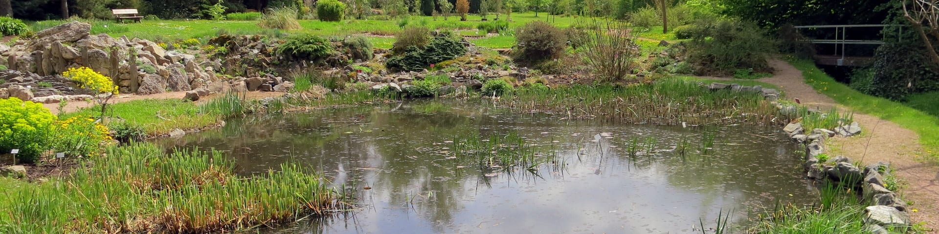 Lake in the Botanical Gardens