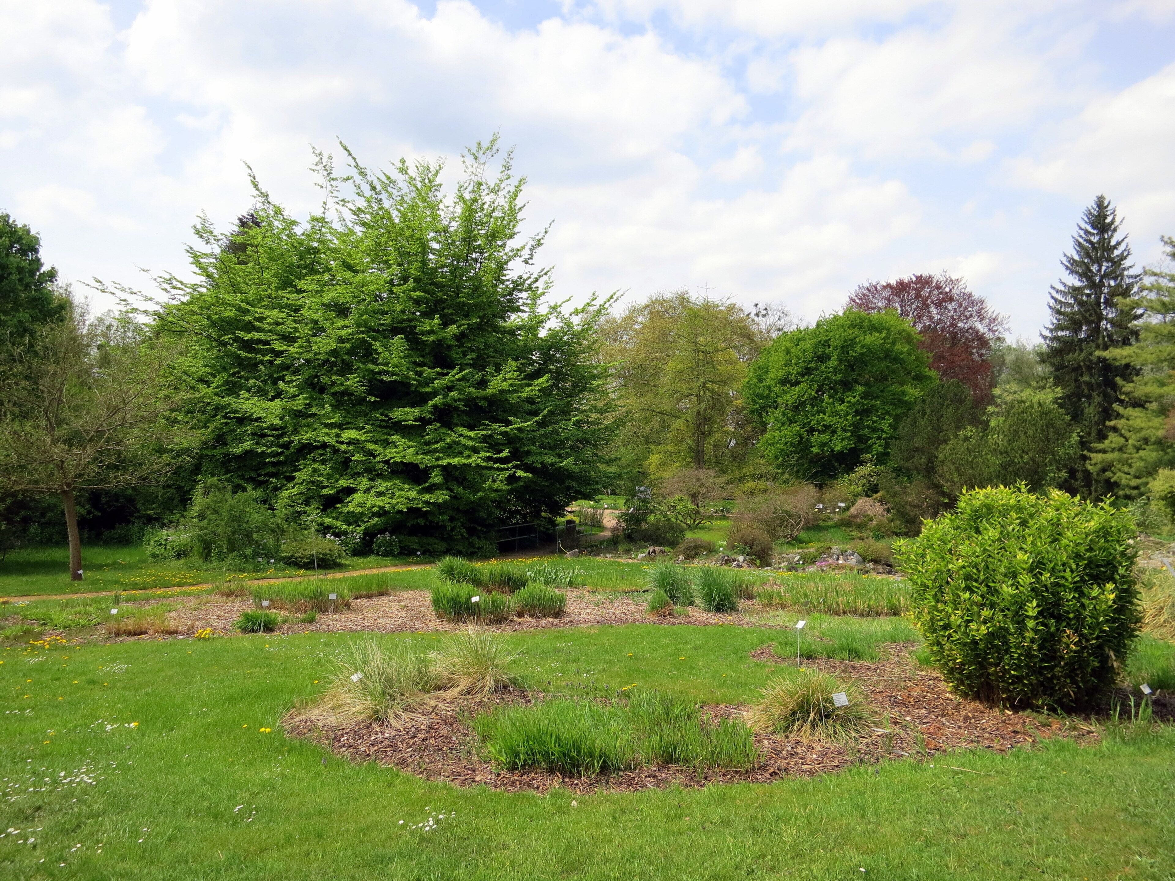 Look at the Botanical Garden