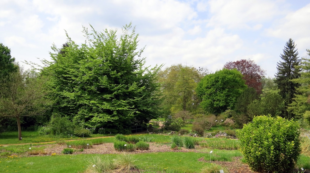 Look at the Botanical Garden