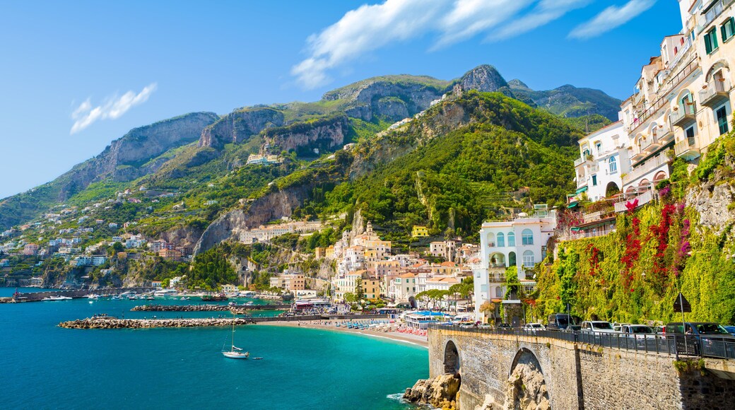 ๋ฆฌ์ค๋ค ๋์ค๋ชจ