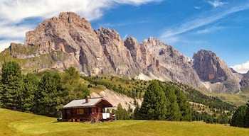 Panoramic view of Col Raiser Alp with the mountains of the Geisler Group in the background, Dolomite Alps in South Tyrol, Italy