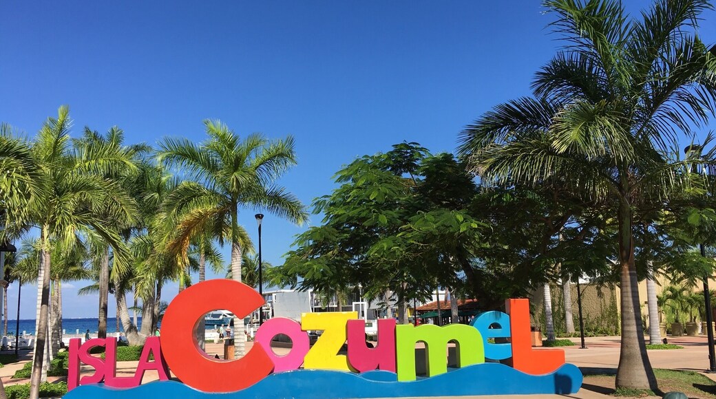 First stop on day 2 of our travels to the western Carribean.
Cozumel is the largest island in Mexico and is the northern extent of the second largest barrier reef in the world behind the Barrier Reef in Australia.