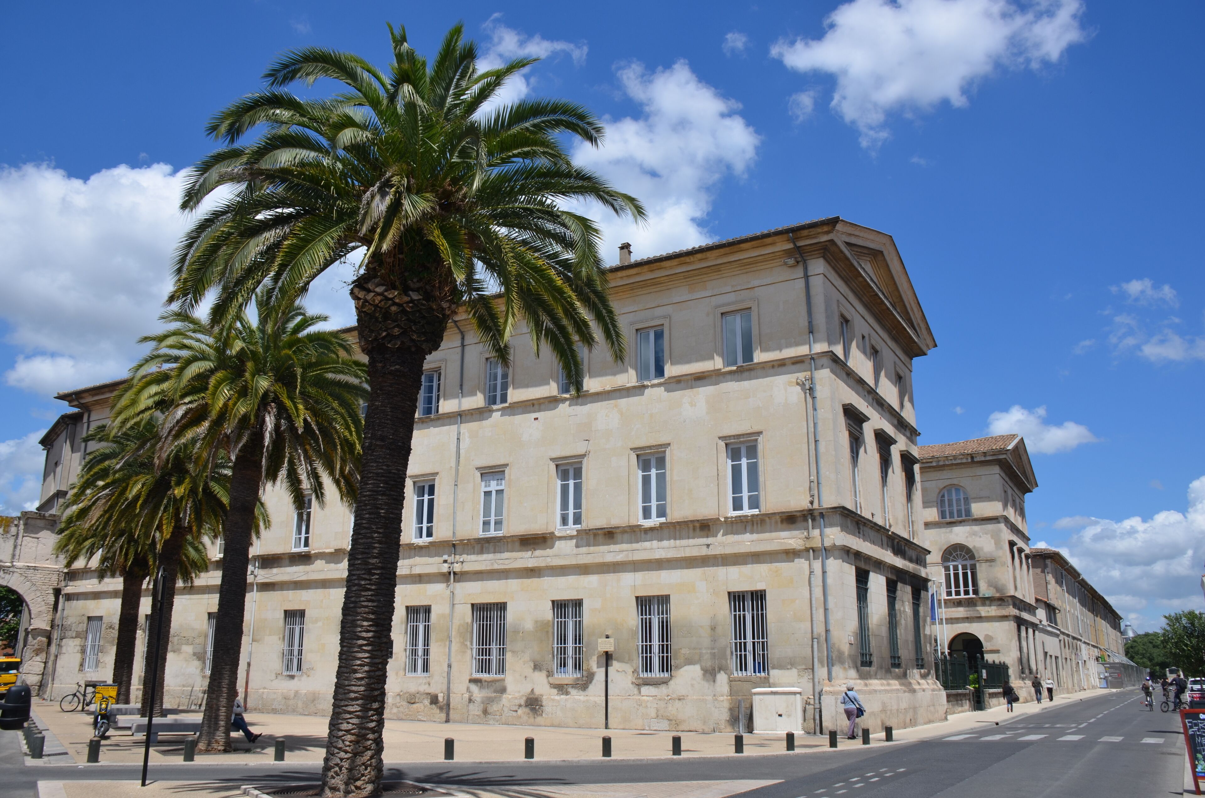 Typical Mediterranean buildings with palmtrees at Nimes