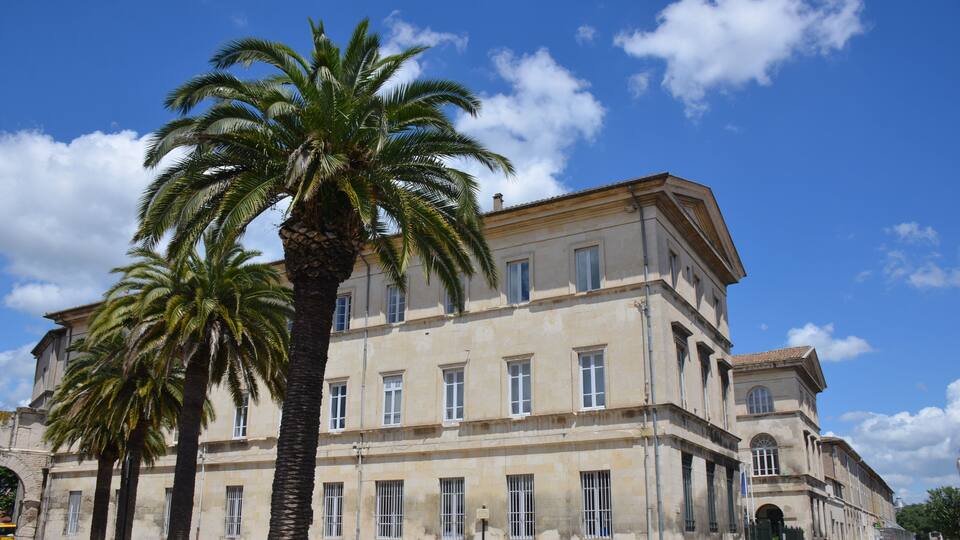 Typical Mediterranean buildings with palmtrees at Nimes