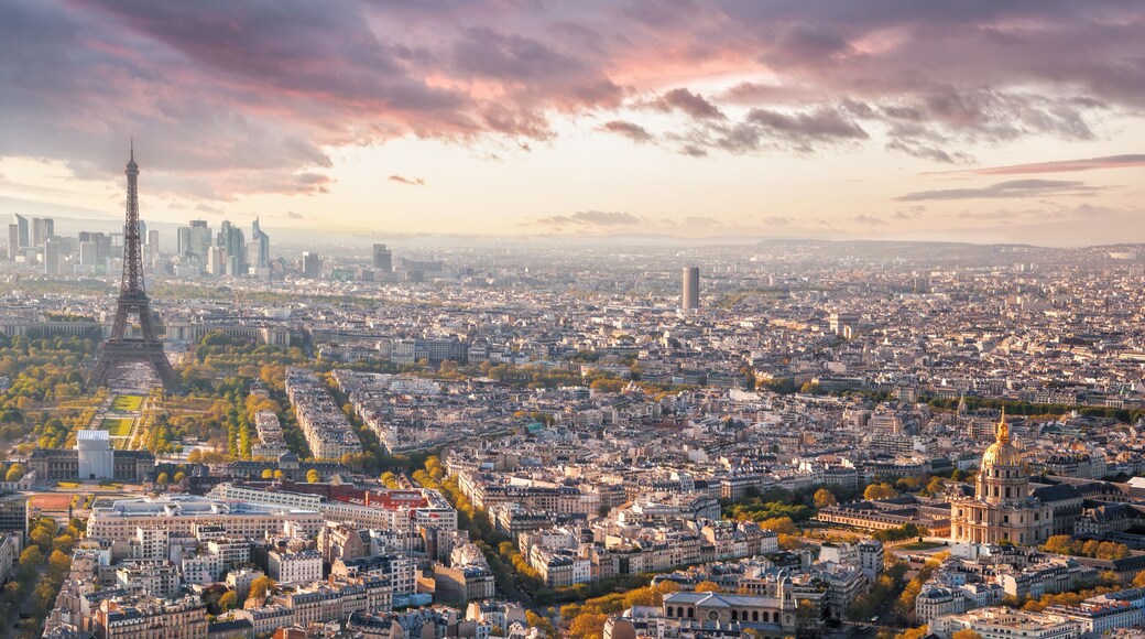 ์ํ
๋ฐ ํ๋ฆฌ์ผ