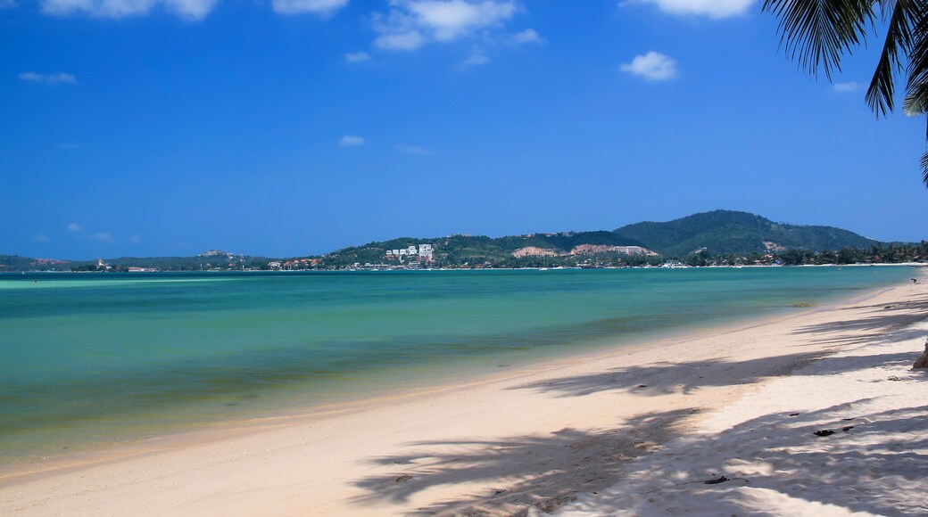 bophut beach koh samui thailand