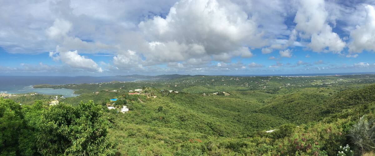 Panorama of the island of St. Croix in the US Virgin Islands; landscape with water and trees