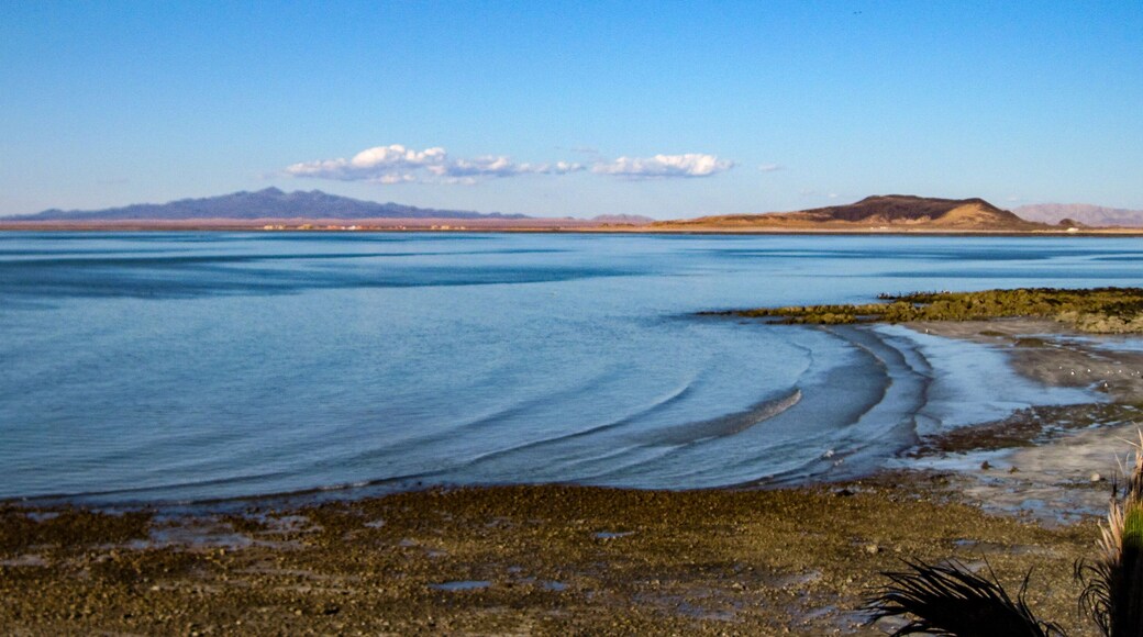 Cholla Bay near Puerto Penasco (Rocky Point), Sonora, Mexico on the Sea of Cortez with clear blue water and sky
