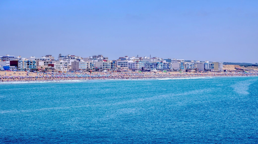 Quartier des Mimosas