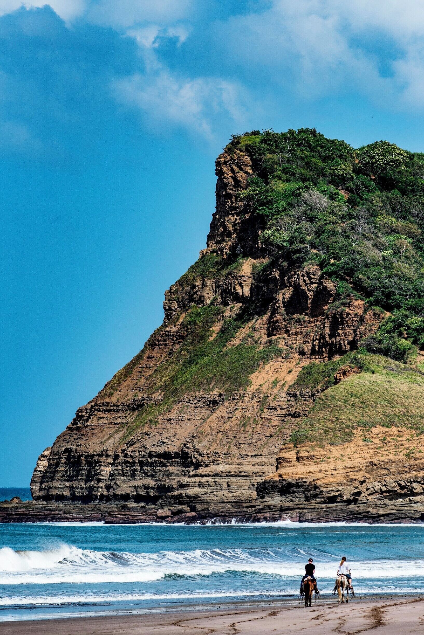 A coastal cliff with horses near the water.