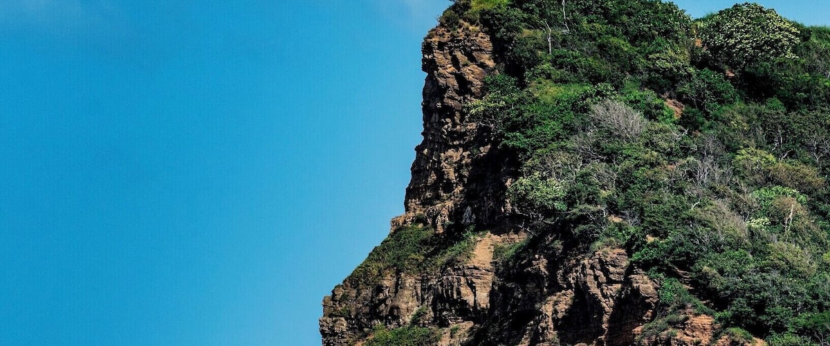 A coastal cliff with horses near the water.
