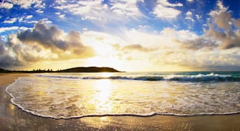 Red beach at sunrise in Vieques, Puerto Rico.