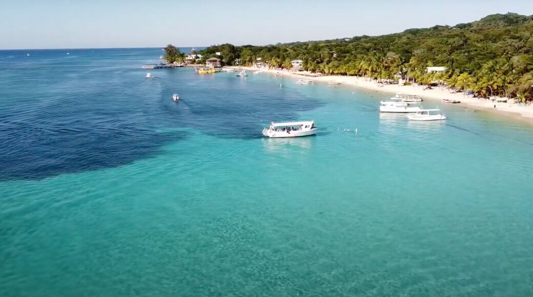 Orchid Beach Village