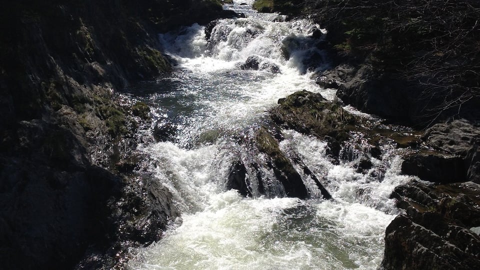 Waterford Bridge Rd. #aquatrove