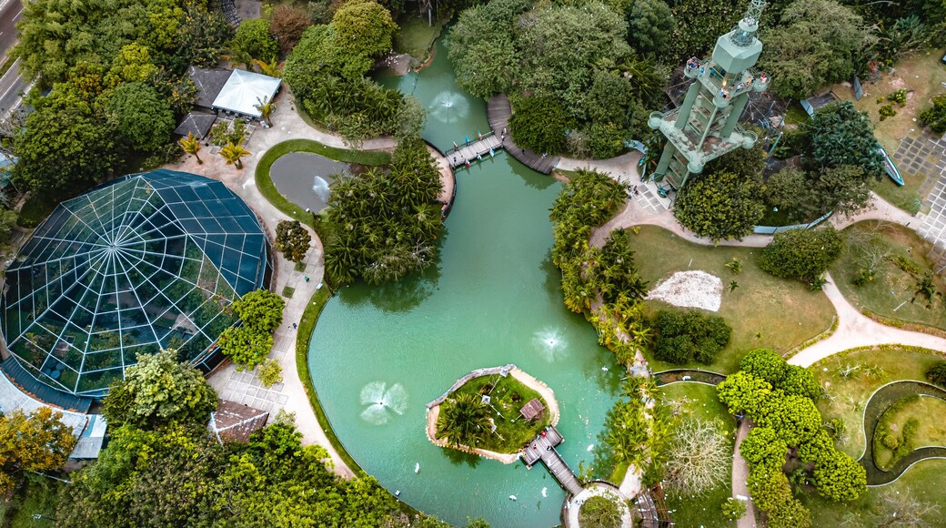 ชาร์ดิม เอเลนา