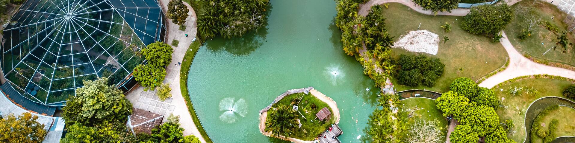 Mangal das Garças Portal da Amazônia Belém Pará Brasil Natureza Jardim Botânico Animais Aves Vegetação Tropical Paisagem Passeio Cultura Exposição Ambiente Natural Fauna Flora Ecoturismo Lago Drone PA