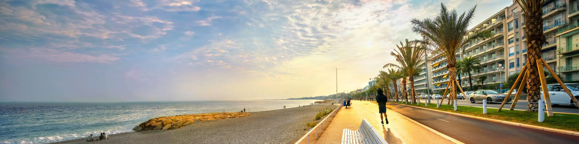 A coastal road with a beach on one side, palm trees, and a row of buildings.