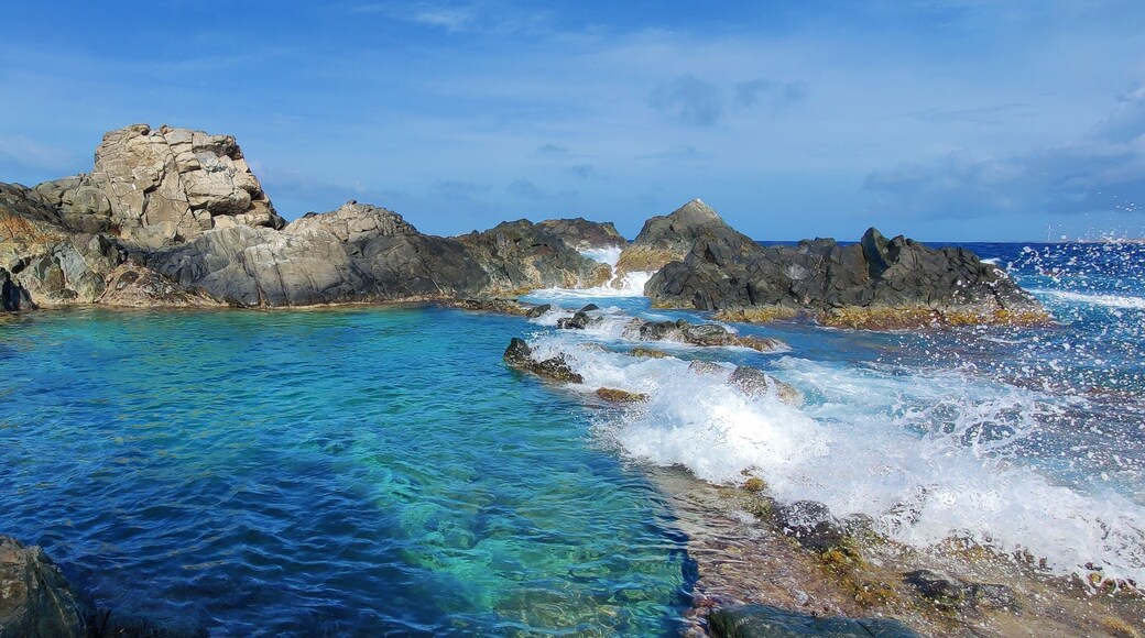 Natural pool