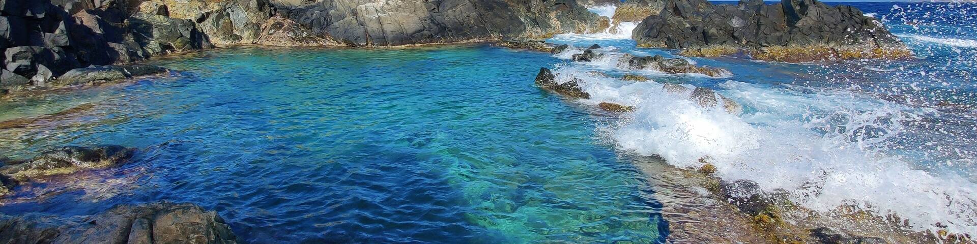 Natural pool