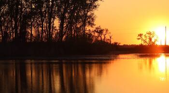 A nature preserve located along Lake Erie