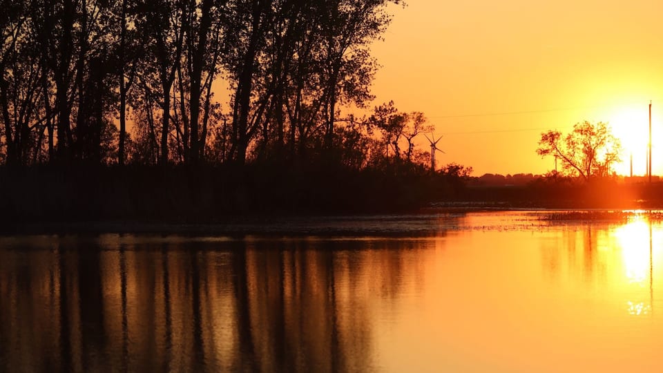 A nature preserve located along Lake Erie