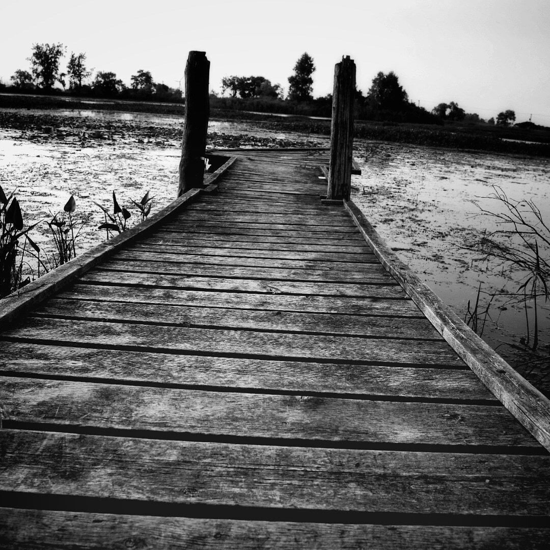 Quiet , hidden dock along the trail in Erieau .