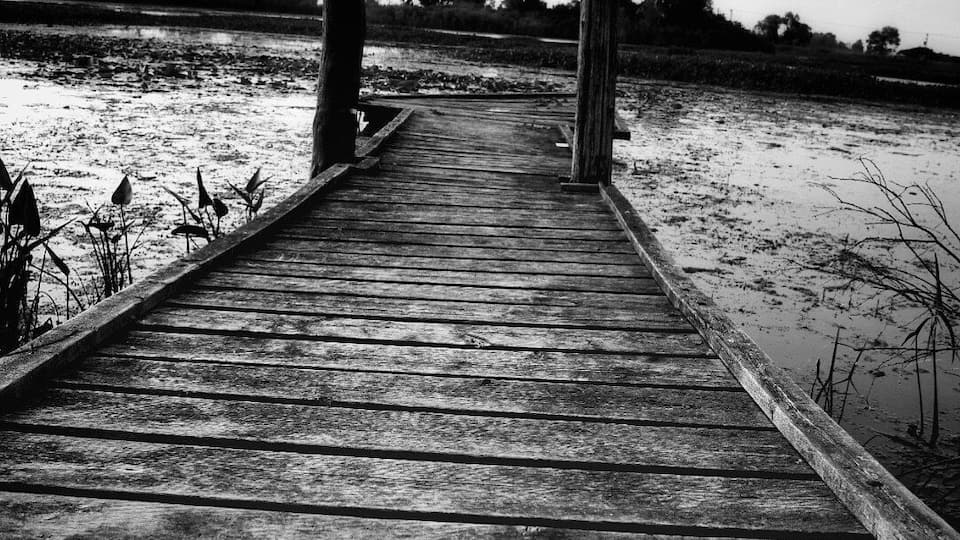 Quiet , hidden dock along the trail in Erieau .