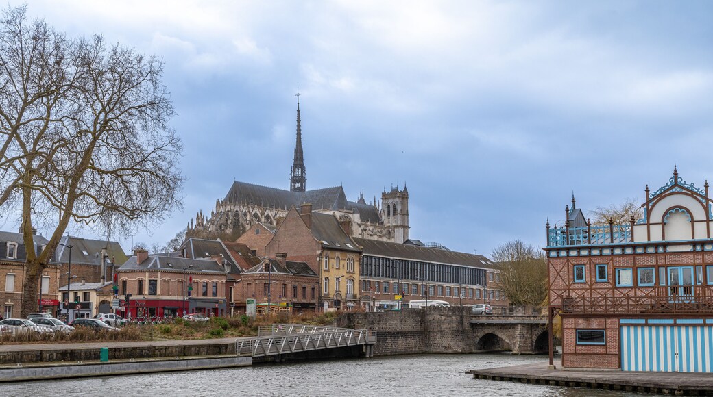 ์๋ฏธ์ ๋
ธํ