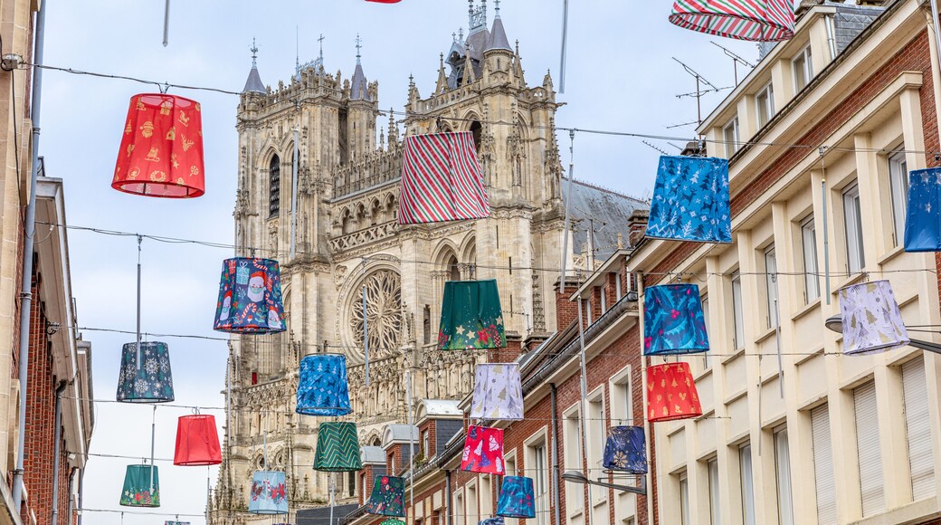 ์๋ฏธ์ ๋
ธํ