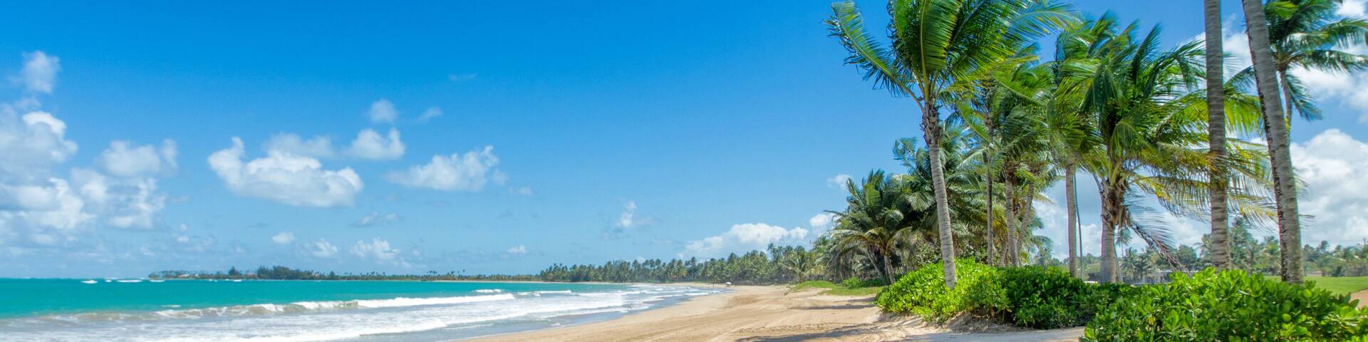 Morning view of the ocean and the palm tree lined at Bahia beach resort in Rio Grande, Puerto Rico
