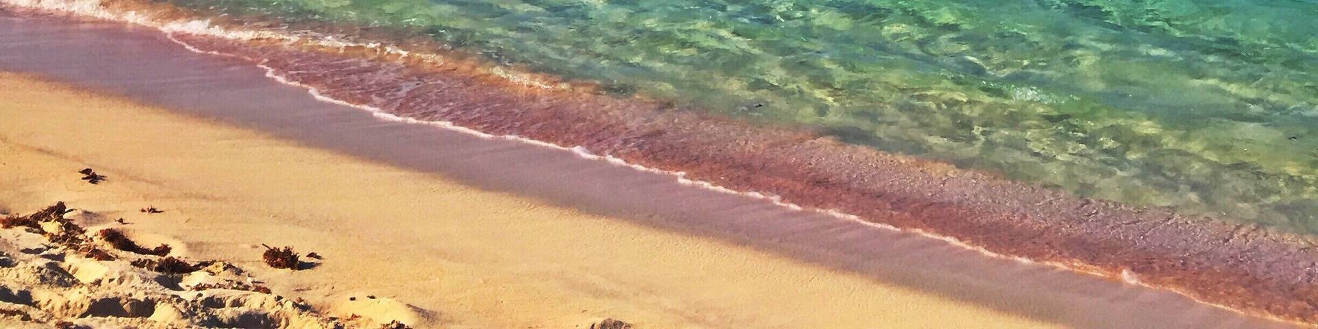It is a very nice and quiet beach but also with entertainment because of the many kite surfers passing by. It is still a great spot to swim even though it is on the north shore with big waves but they do not get all the way to the shore. The waters are crystal #blue and the sand is a bit of pink. The entrance is a bit hidden by the Grapefield dunes.