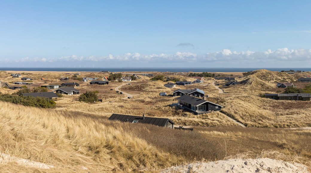 Panorama of holiday homes settlement at Årgab, Holmsklit, Denmark. Ringkøbing Fjord in background, view from a North Sea dune