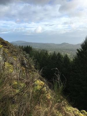 If you are hanging out at the Bear Mountain Westin, I would recommend this hike up the mountain. Wear good sneakers and beware of slippery rocks if it has rained.
