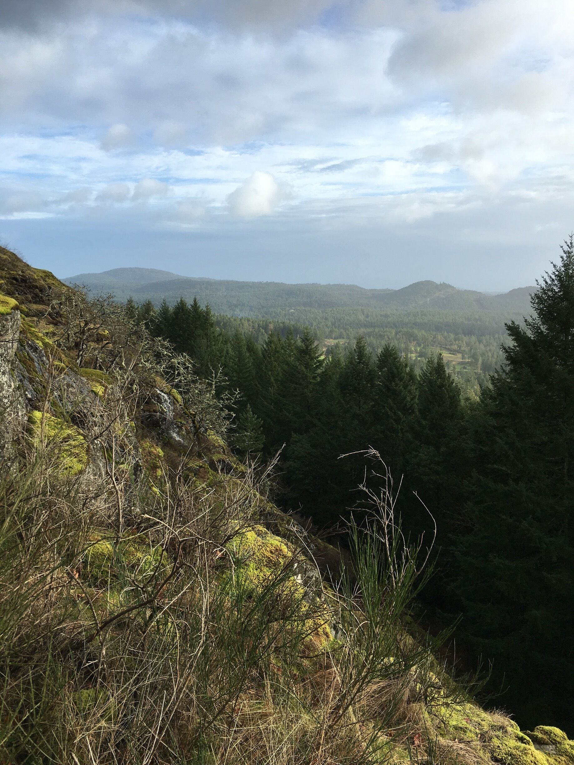 A mountainous landscape with dense forests and a valley in the distance.