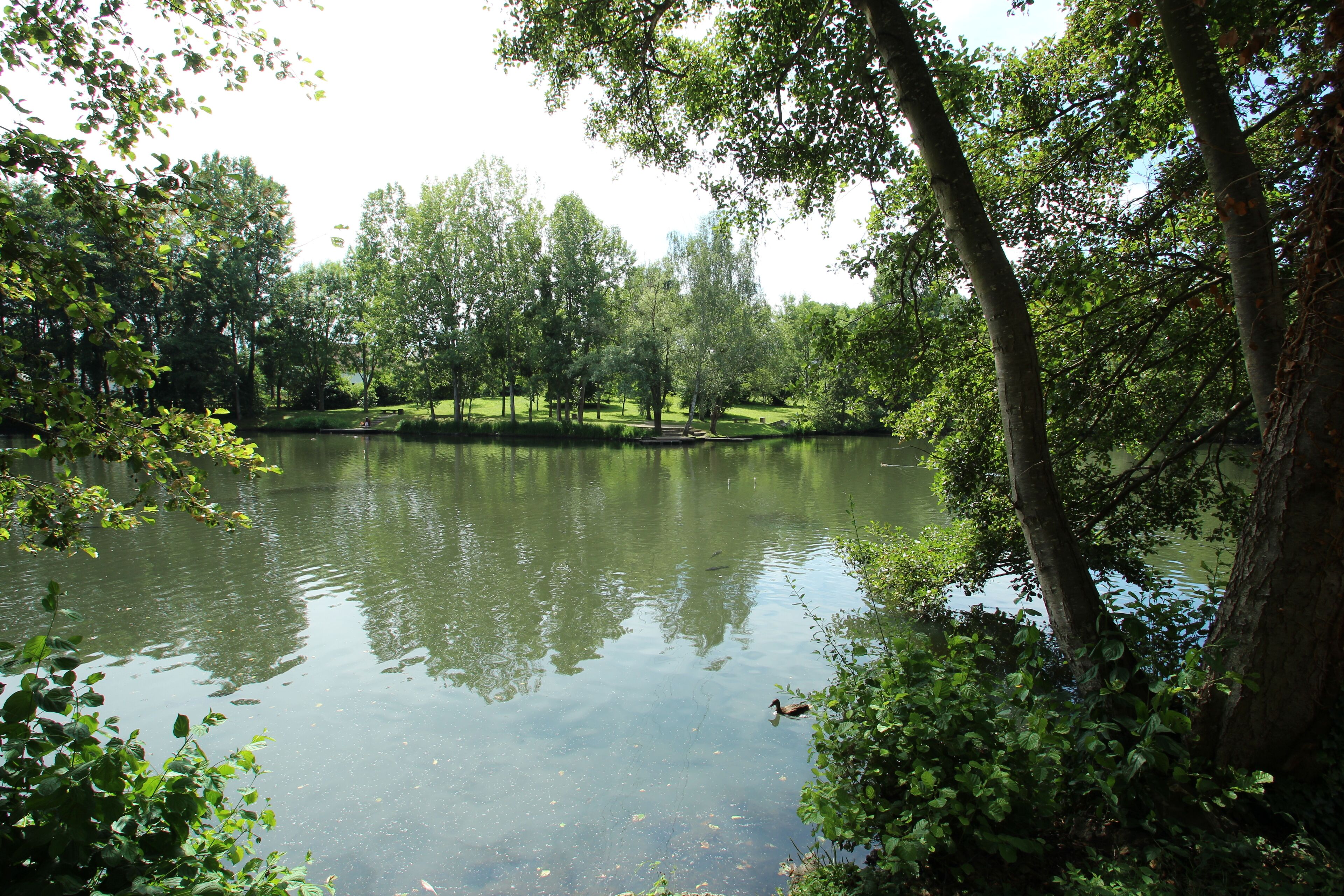 This picture as been uploaded as part of L'Été des régions Wikipédia.