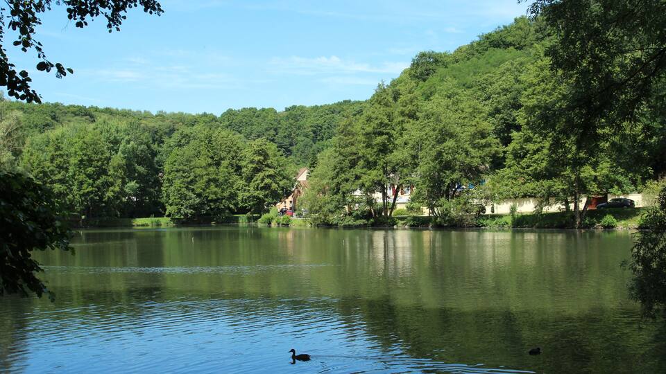 This picture as been uploaded as part of L'Été des régions Wikipédia.