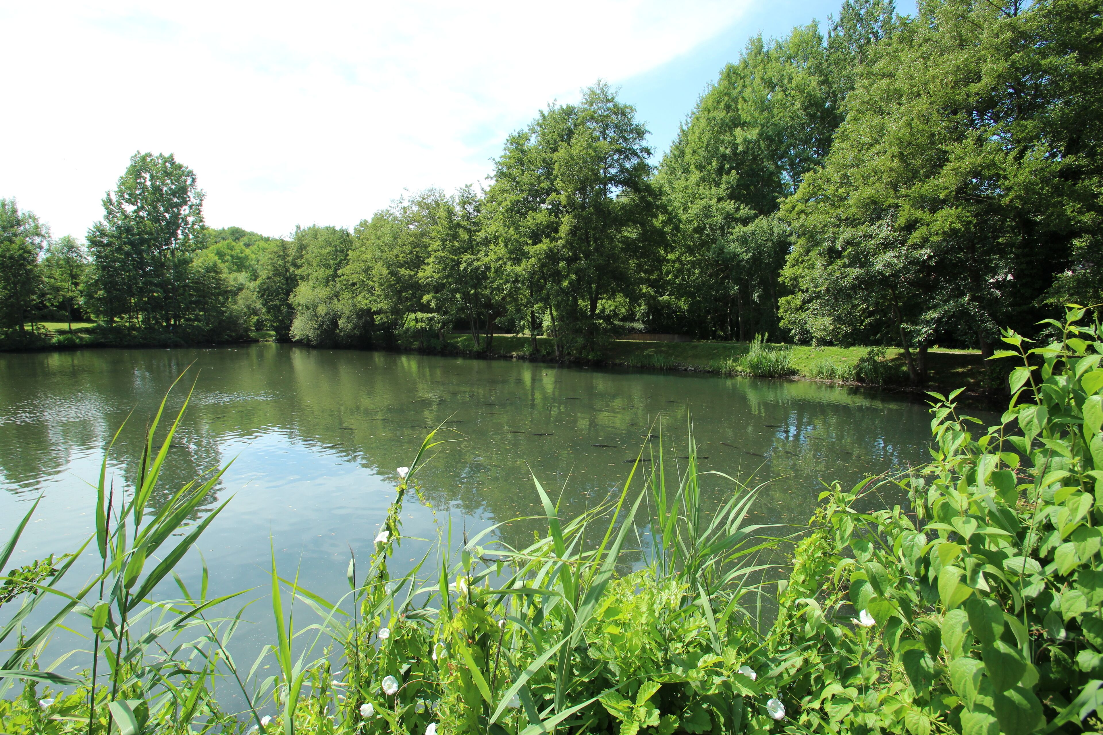 This picture as been uploaded as part of L'Été des régions Wikipédia.