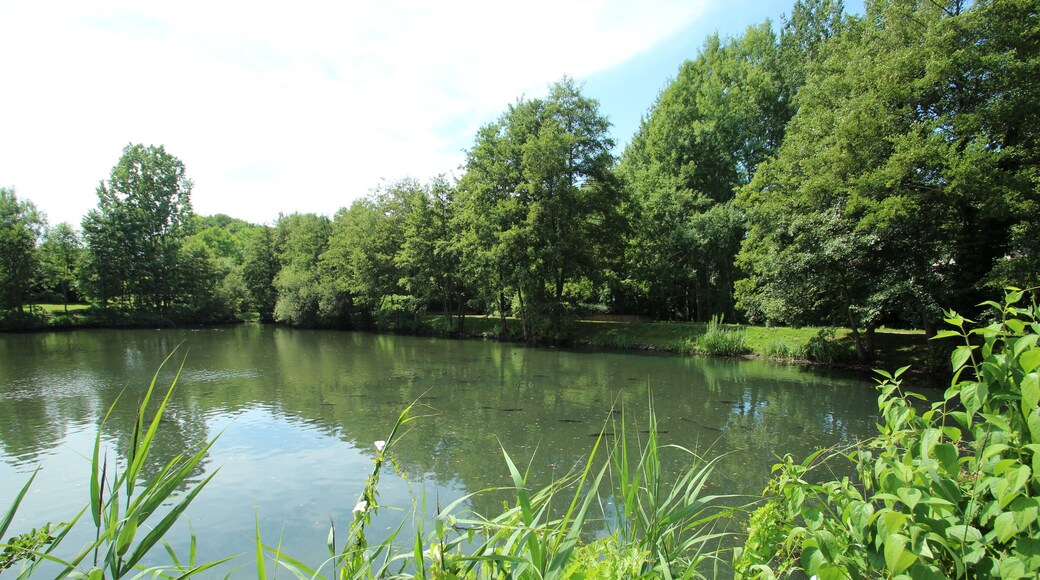 This picture as been uploaded as part of L'รtรฉ des rรฉgions Wikipรฉdia.